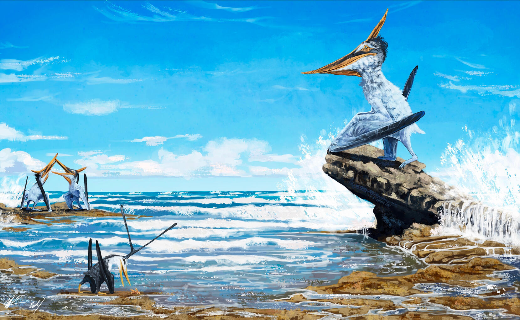 Pterosauria Beach, 2024