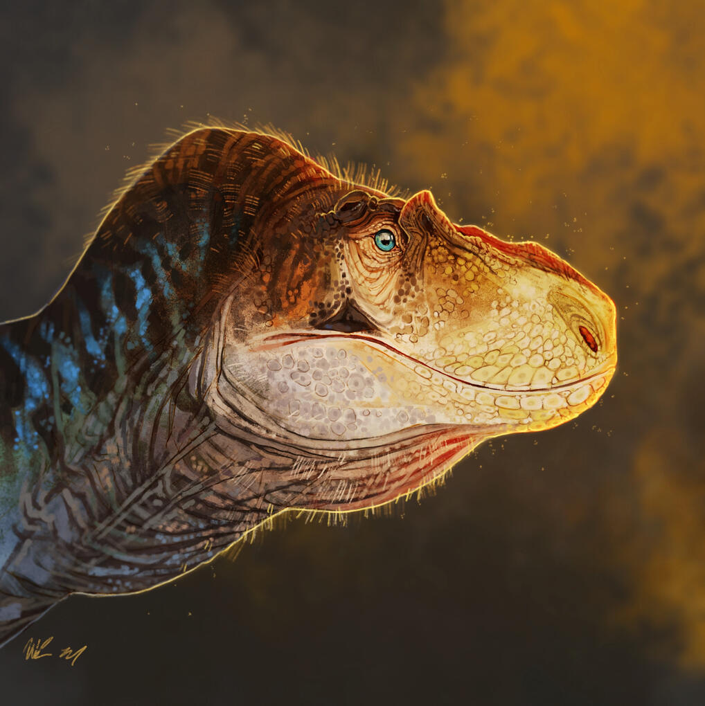 Lythronax argestes, 2024