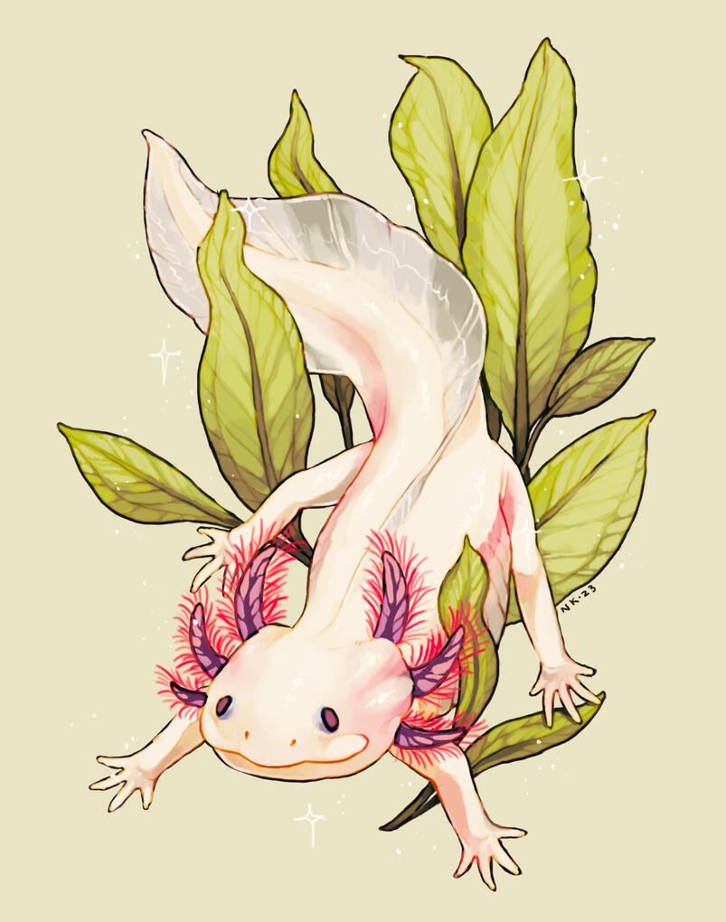 Axolotl, 2023