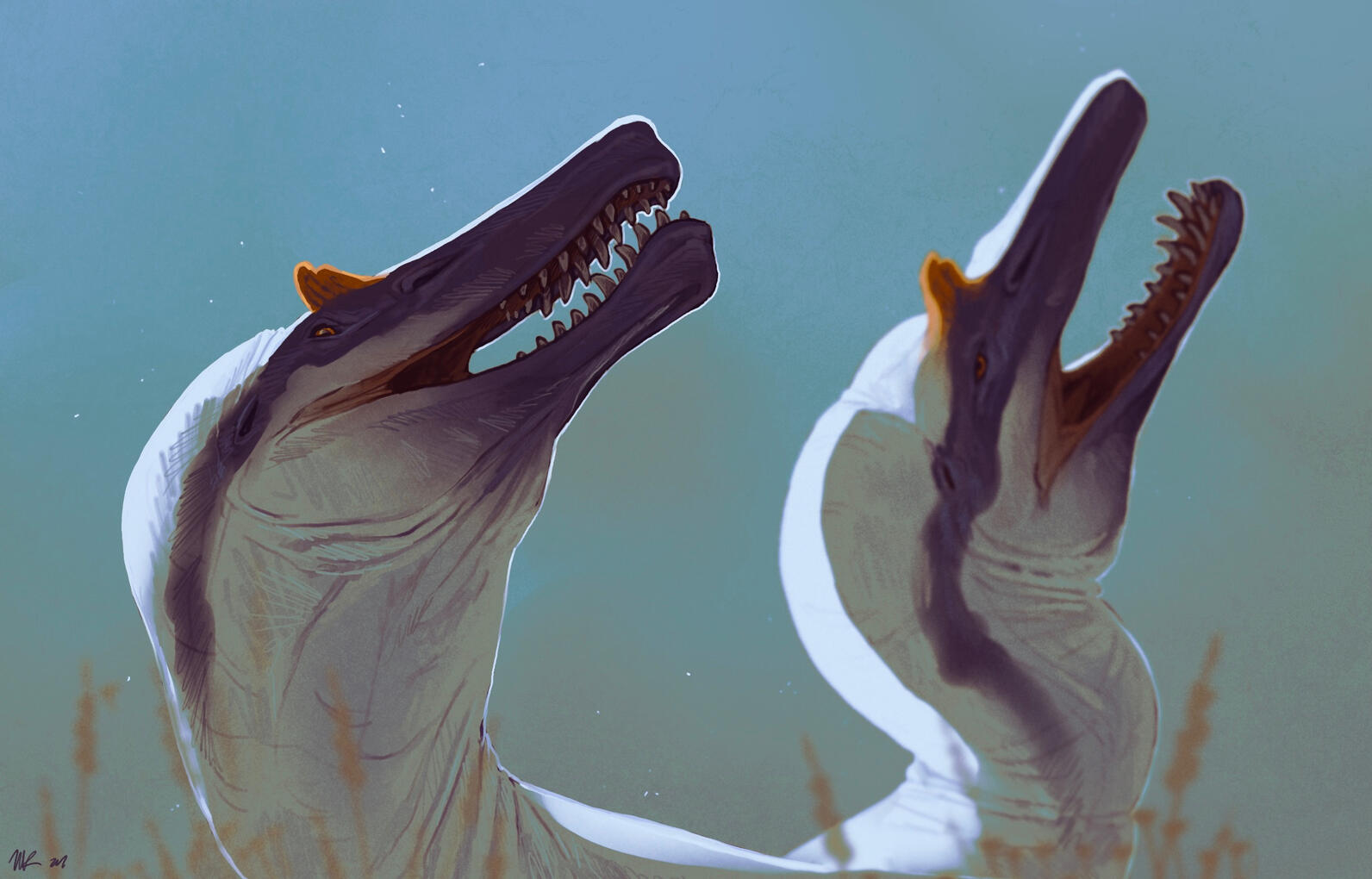 Irritator Pair, 2024