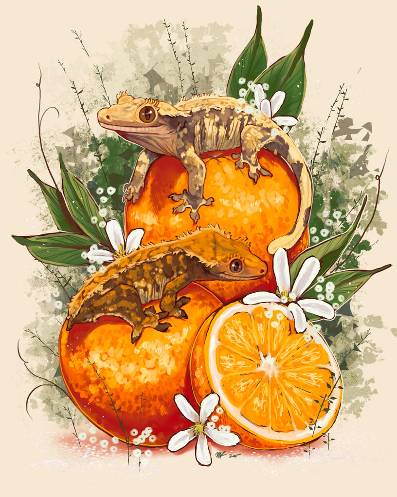 Citrus Cresties, 2025