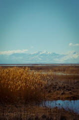 Great Salt Lake, 2025